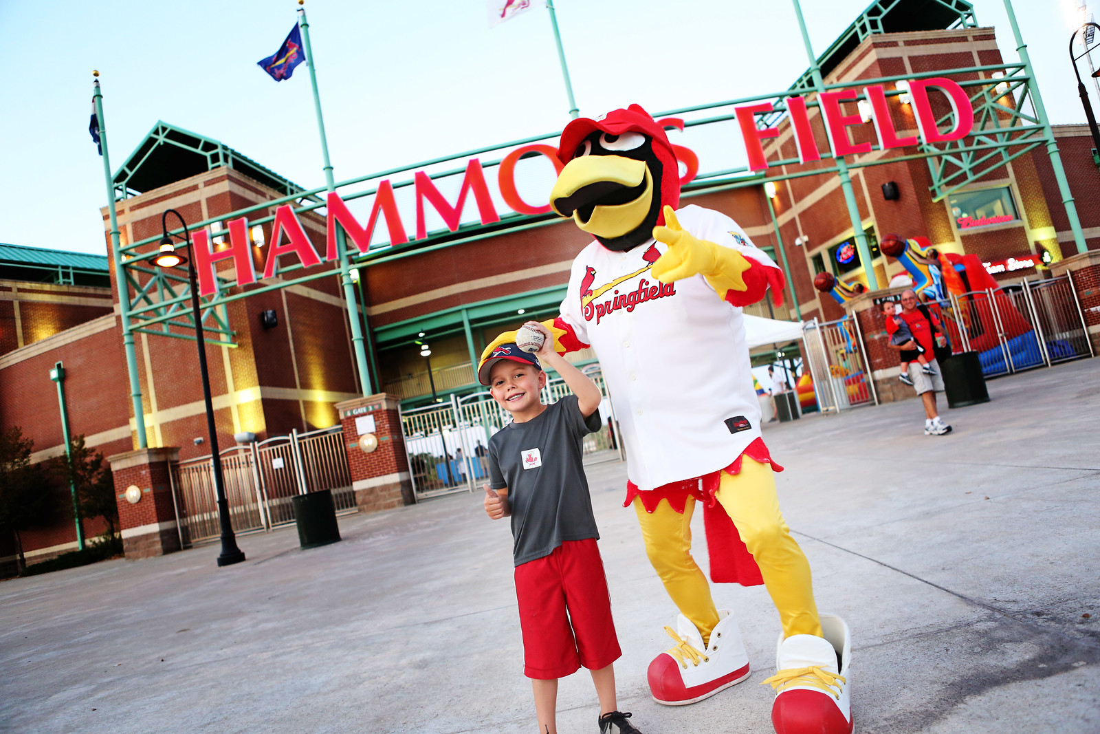 Springfield Angamaly Springfield Mo Cardinals Springfield Cardinals: Springfield (IL)