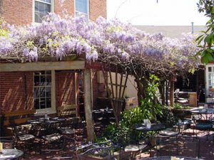 Rams Head Patio