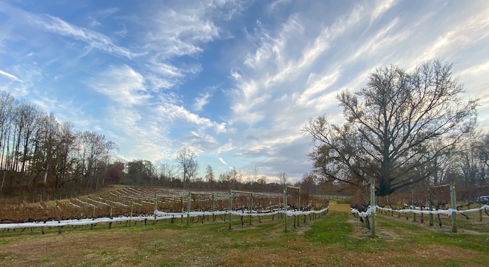 Thanksgiving Farm Winery