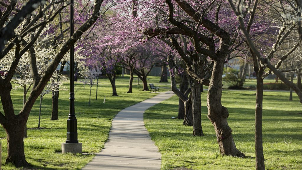 South Park in Lawrence Kansas