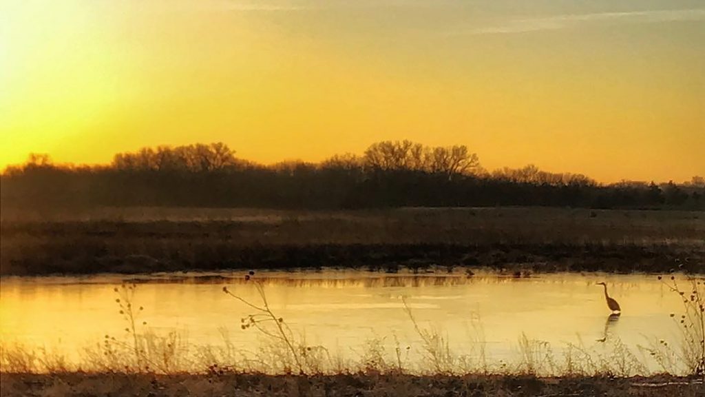 Baker Wetlands in Lawrence Kansas