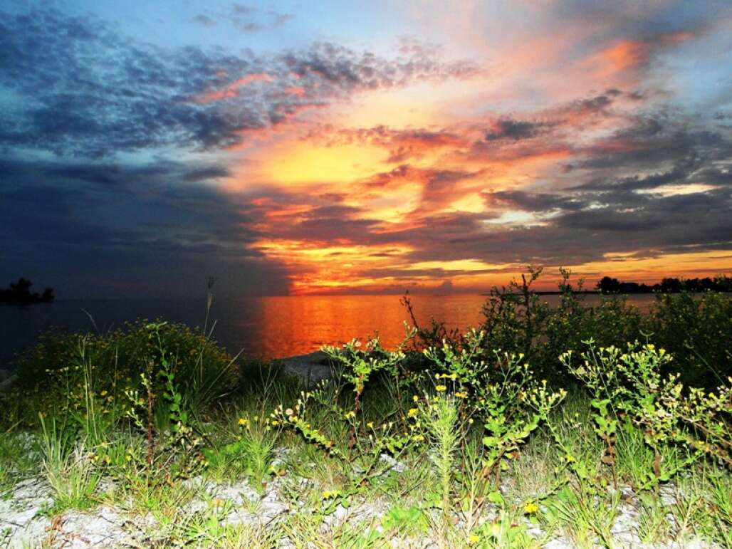 beautiful Florida beach sunset