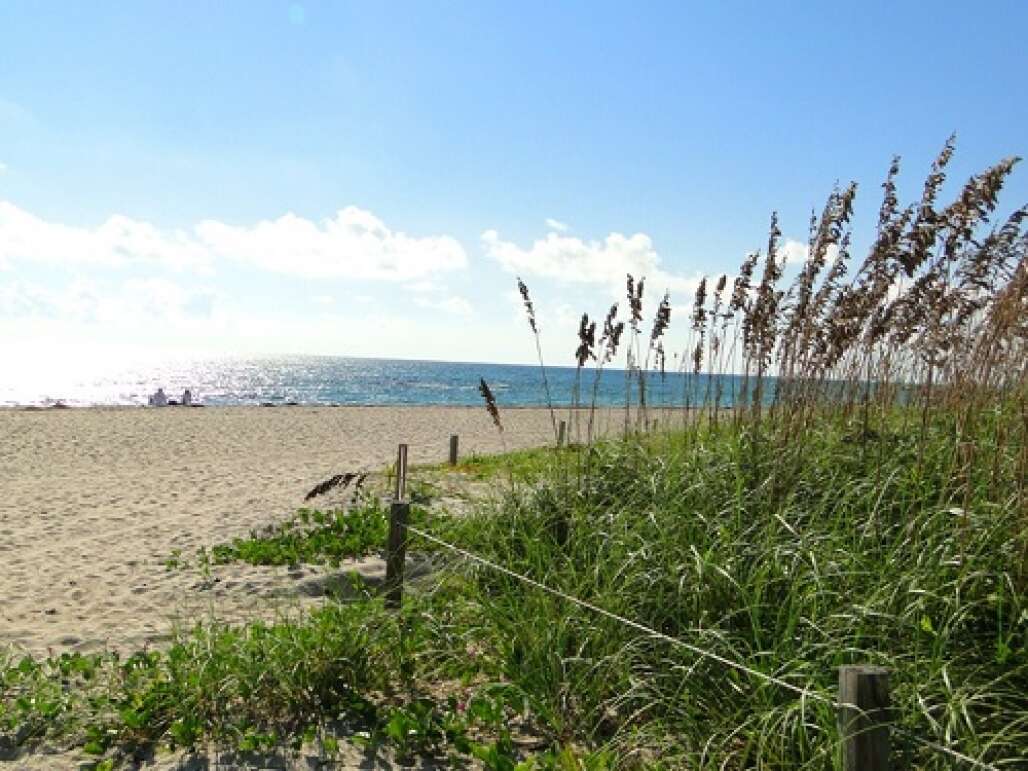 palm beach county beaches