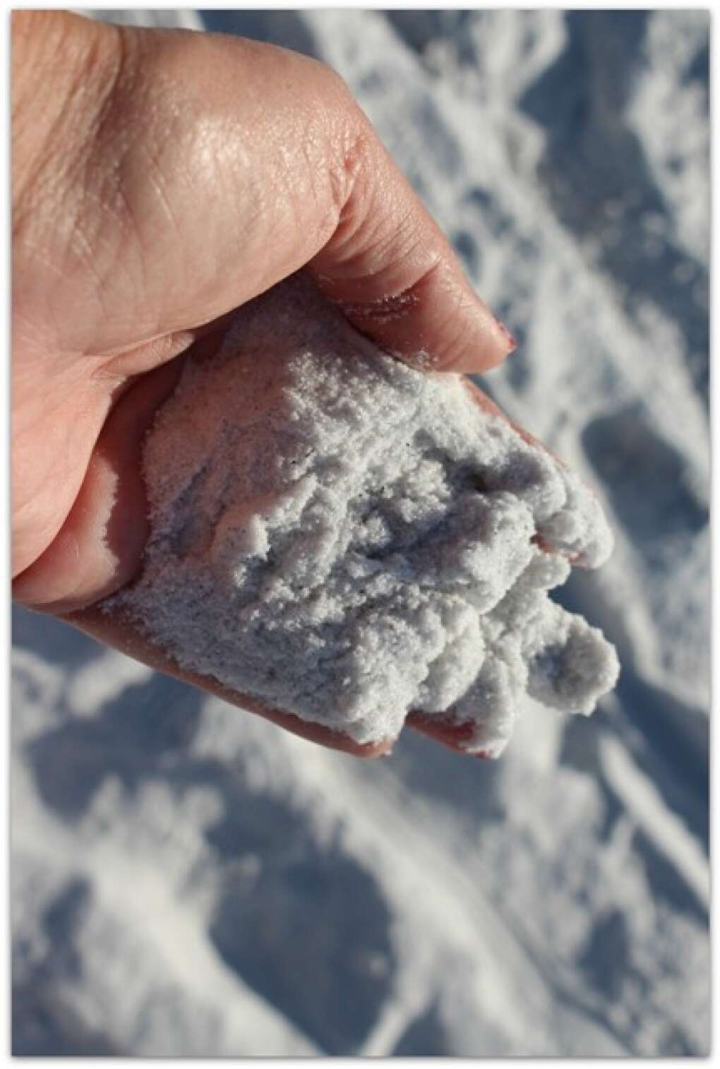 The white sands at the Anna Maria Island