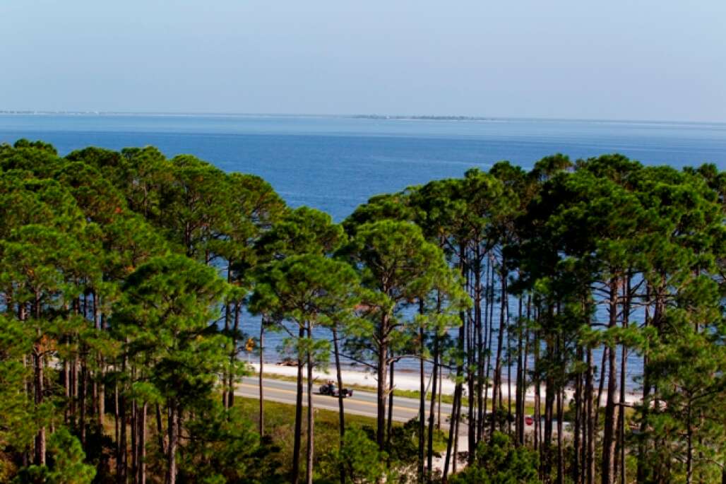 the big bend scenic byway south of Tallahassee