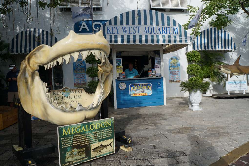 explore Key West on foot