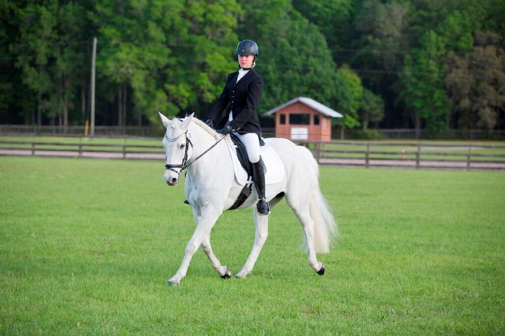 Florida Horse Park