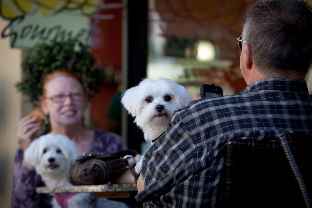 In Winter Park, there’s room at the table for your best friend. 