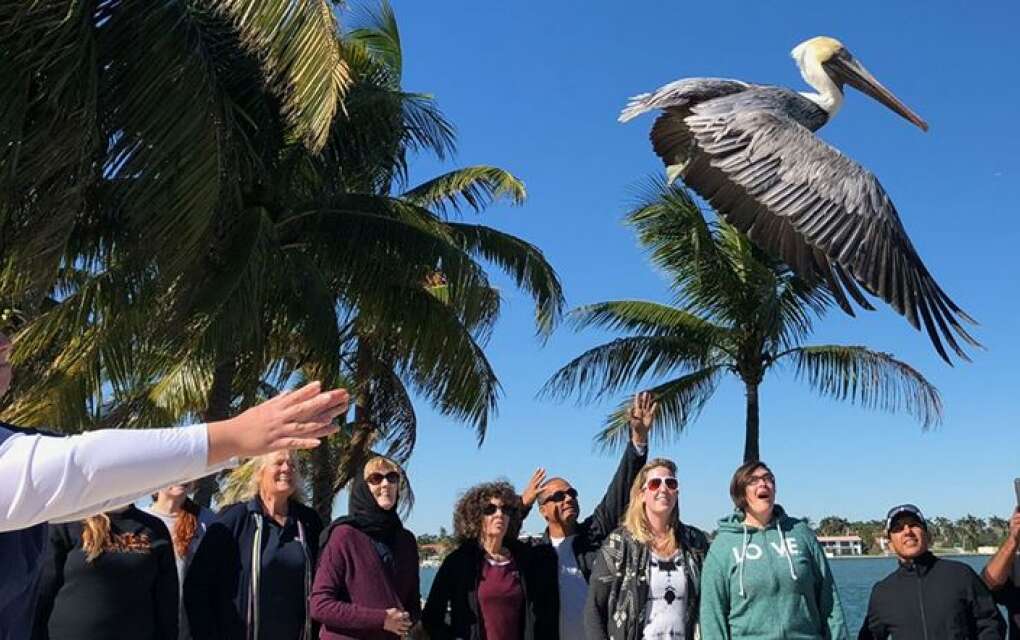 Pelican Harbor Seabird Station, a rehab center for injured seabirds, offers tours and a sunset birding cruise.  