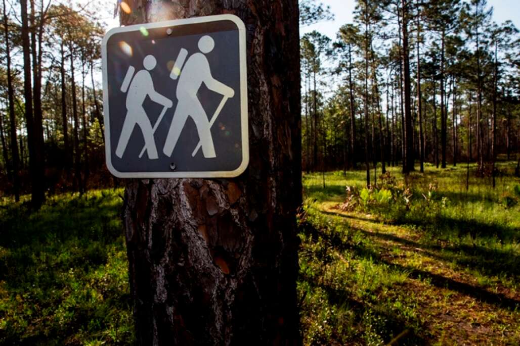 hiking in florida