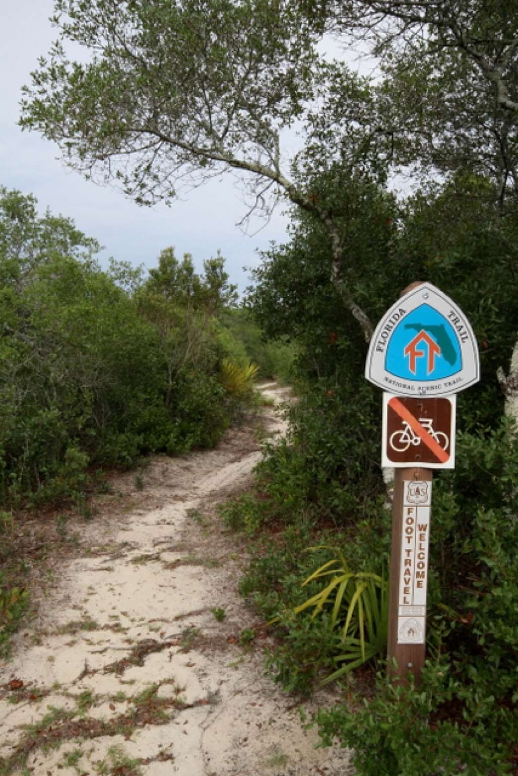 hiking trails in florida