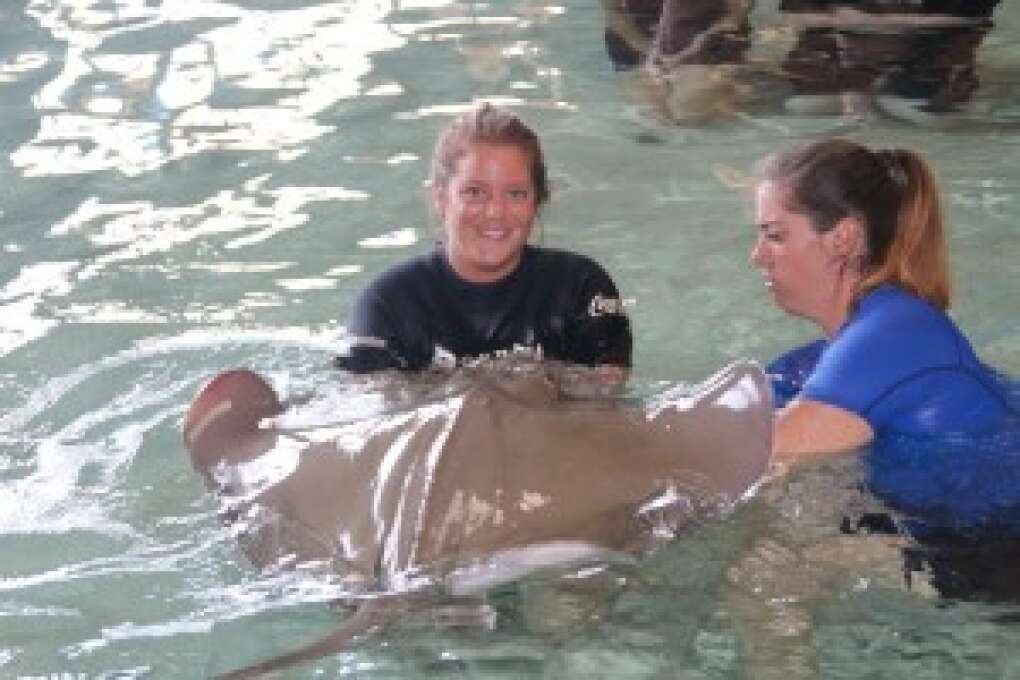 Gulf World Marine Park Stingray Experience