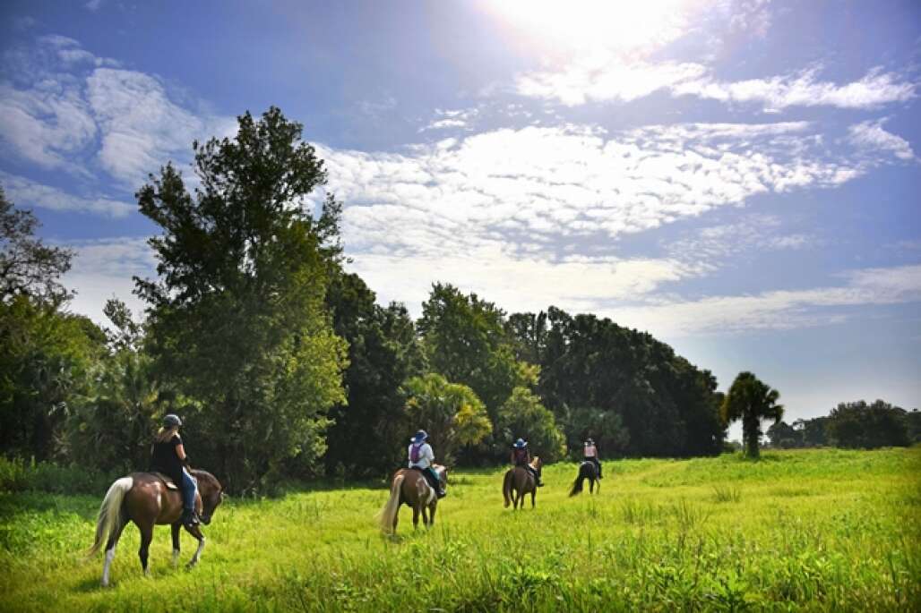 greenridge stables in florida