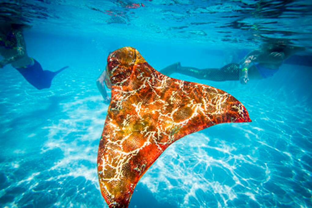 The iridescent fin of Raynah Morris, 6, waves in the pool during The Mermaid Academy at the Hyatt Regency Grand Cypress.