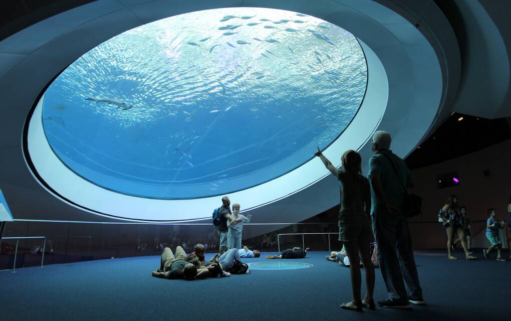 The Frost Museum of Science in Miami has a planetarium and a monster fish exhibit featuring some of the biggest creatures of the deep. 