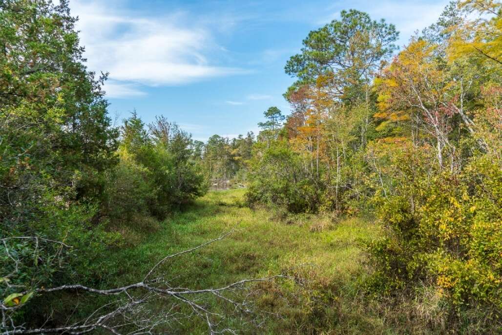 Blackwater River State Park