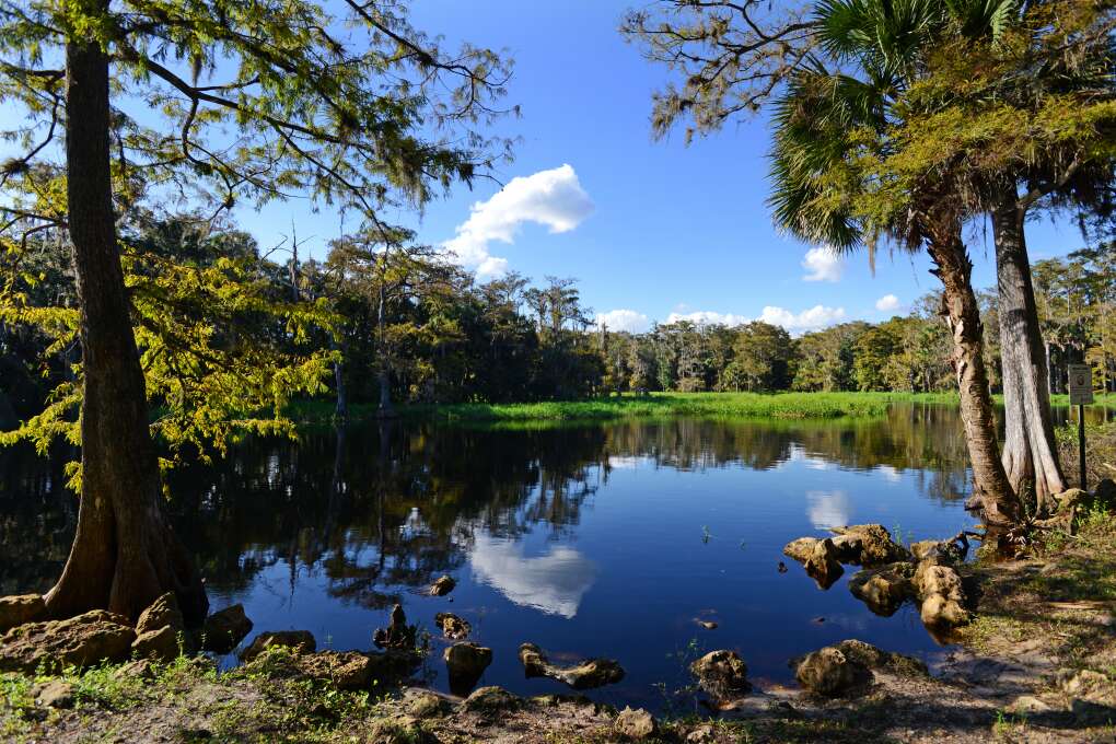 Fisheating Creek Florida