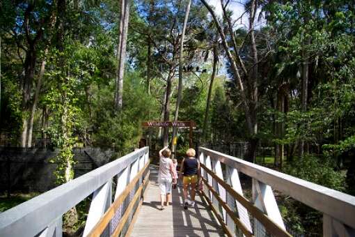 homosassa-springs-state-park-photo-walkway