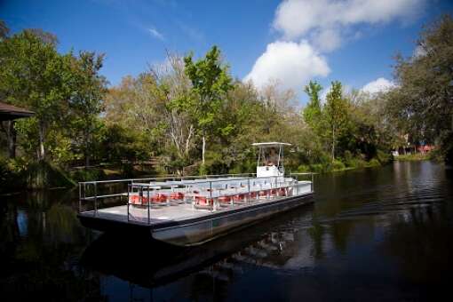 Visitors to Ellie Schiller Homosassa Springs Wildlife State Park can hop aboard a pontoon boat for a ride along Pepper Creek or take a tram to the park entrance.