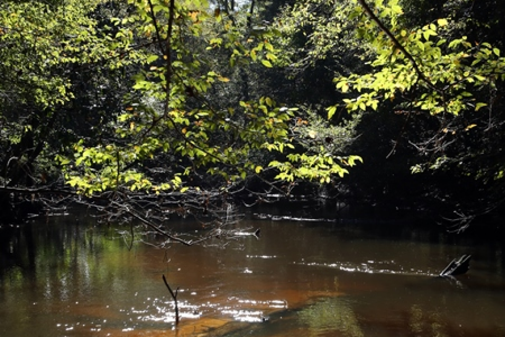 A portion of the Spring Run Trail parallels Sandy Creek at Ponce de Leon Springs State Park.