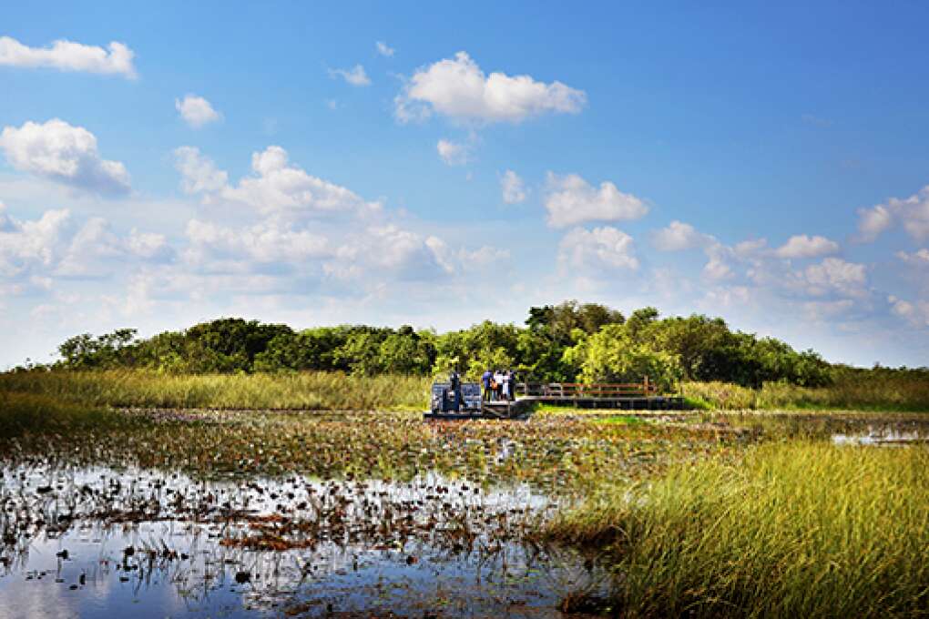 En hidrodeslizador por los Everglades.