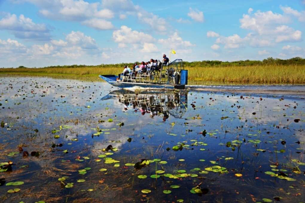 driving the airboat in the miccosukee everglades