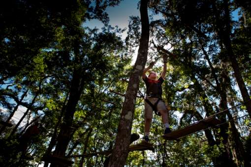 Working his way through the forest young guest makes his way across an element at TreeHoppers Aerial Adventure Park on September 20, 2015 in Dade City. VISIT FLORIDA/Scott Audette