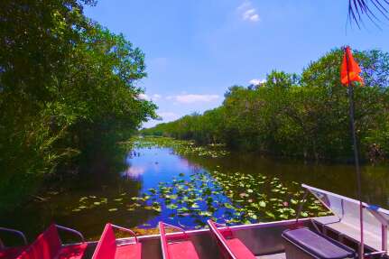 Eine romantische Bootstour in den Everglades.
