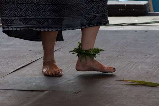 The Polynesian Cultural Festival is held every February in Oakland Park. 