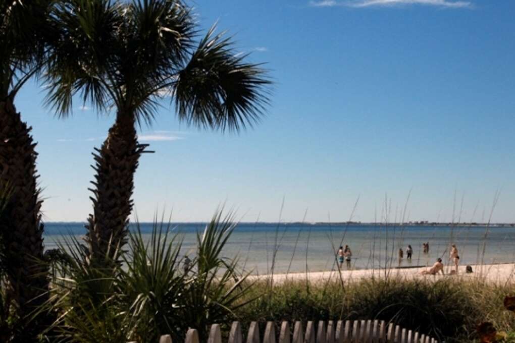 palm trees overlooking the Courtney Campbell Scenic Highway in Tampa Bay