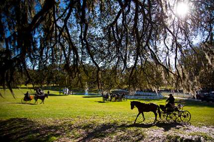 Grand Oaks Resort scenery