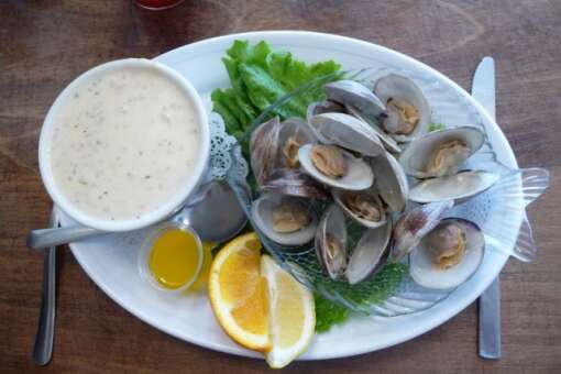 tony's clam chowder  at cedar key