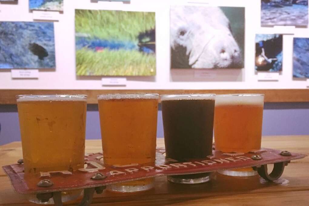craft beer culture in gainesville