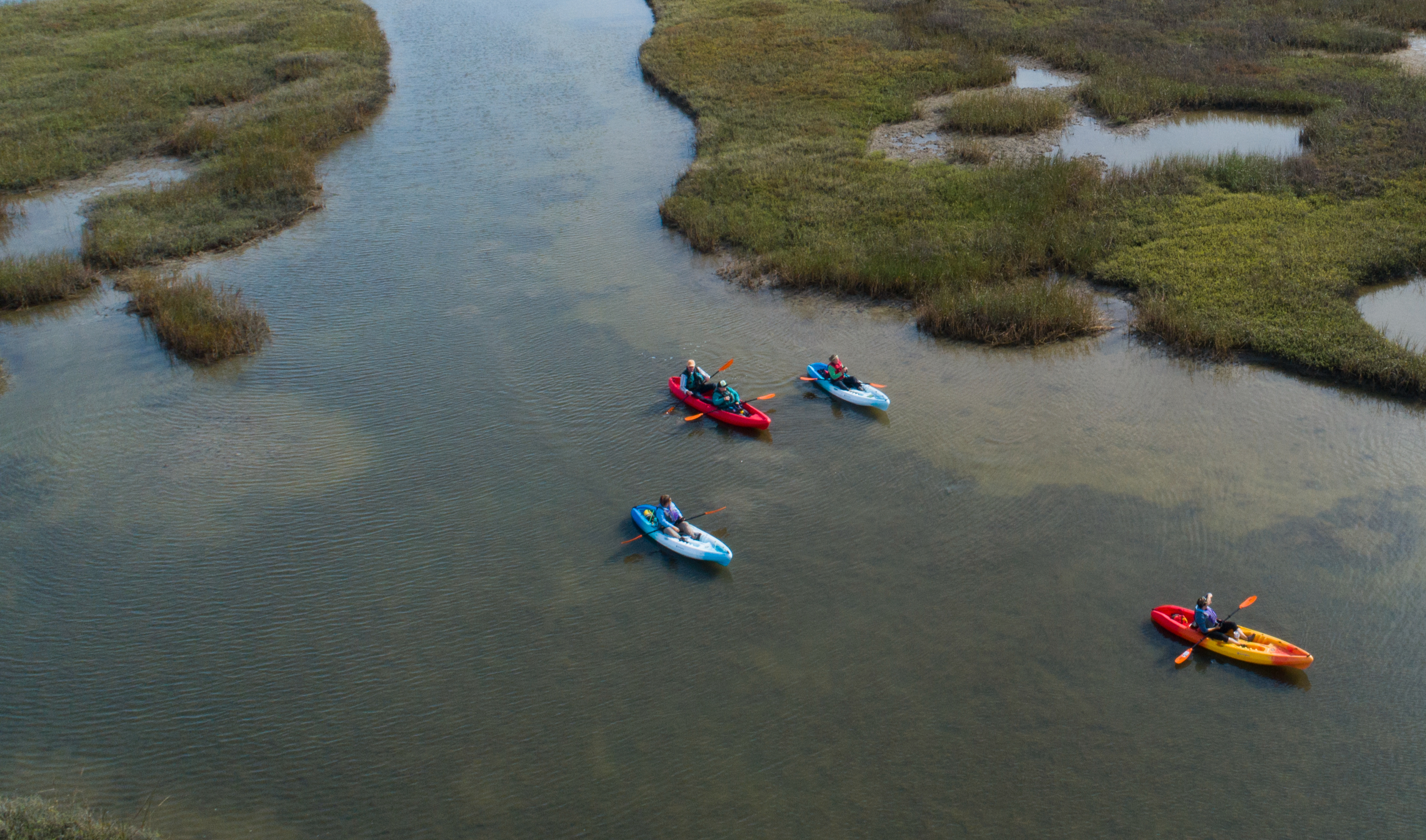 Kayaking In Texas | Gulf Coast Paddling & Wildlife