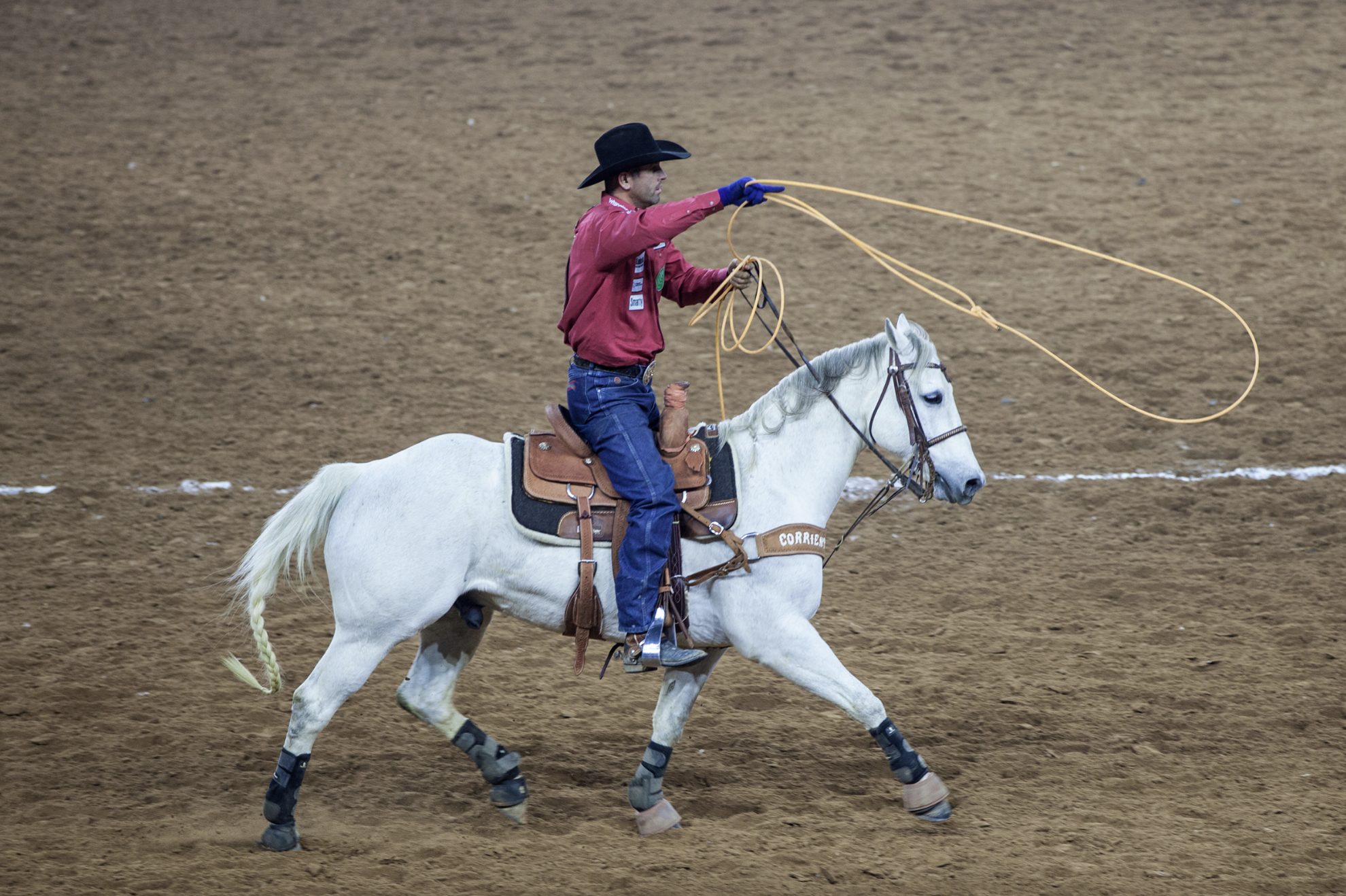 Texas State Sport Rodeo
