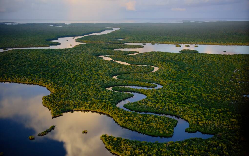 Everglades National Park