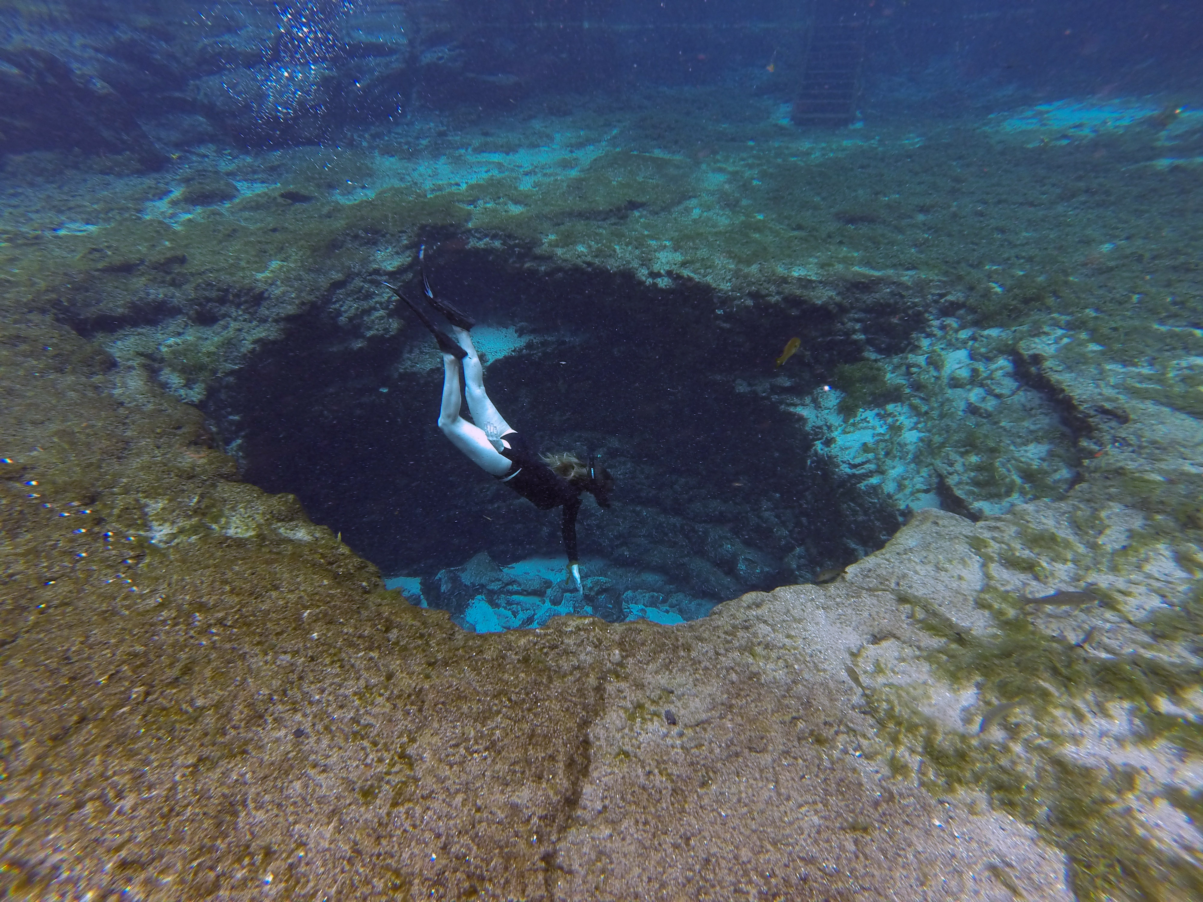 Slip under the surface of one of its seven cool and gin-clear springs, and it’s easy to see what makes Ginnie Springs one of the best places to snorkel in Florida. 