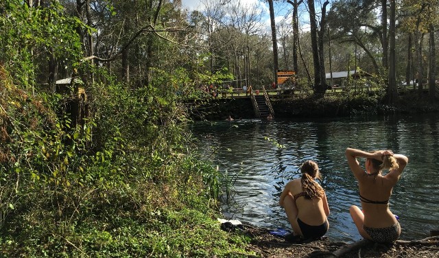 What winter in Florida looks like. 