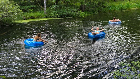 Float down the original lazy river at Ichetucknee Springs State Park.