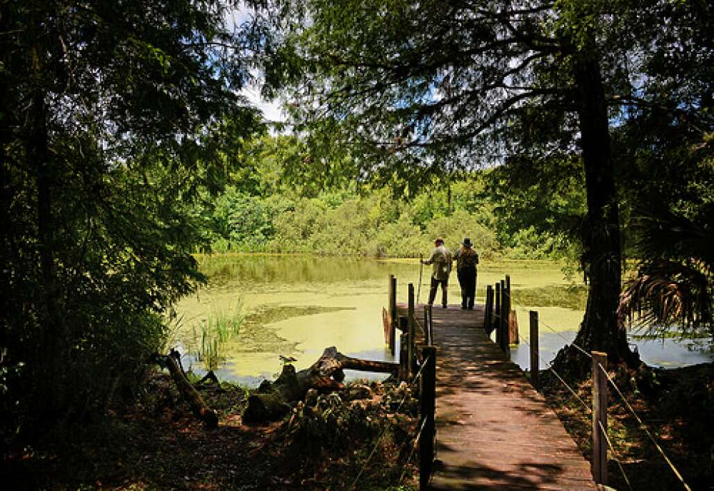 Fakahatchee Strand is a wild and beautiful 7,000-acre preserve in the western Everglades. 