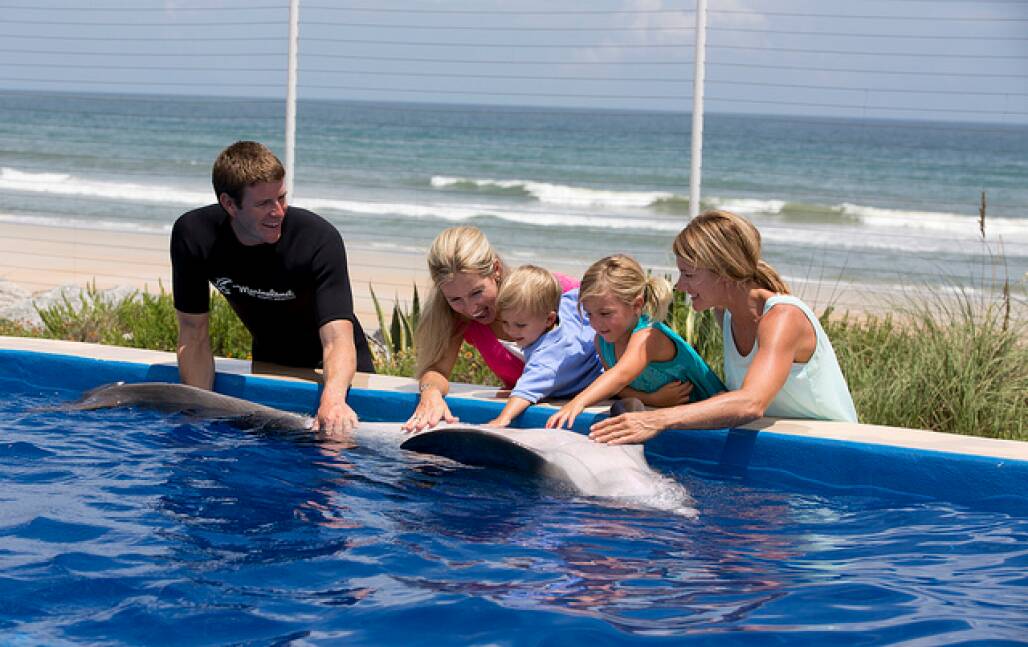 Experience fun at the Marineland Dolphin Encounter