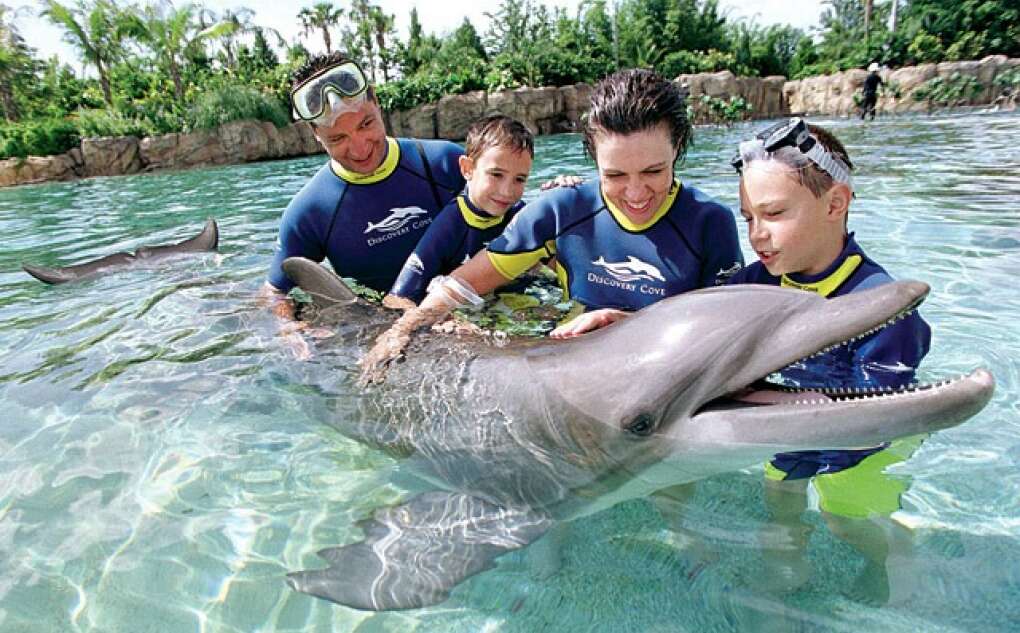 Discovery Cove