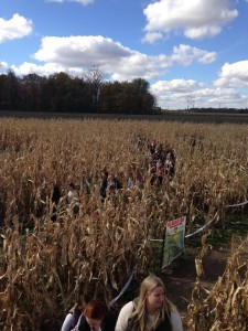 Stuckey Corn Maze