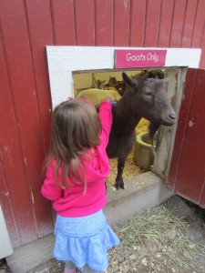 Ft Wayne Zoo