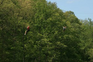 Zippin in the Trees