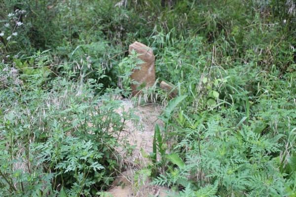 Fred's grave. You won't see it unless you know where to look.