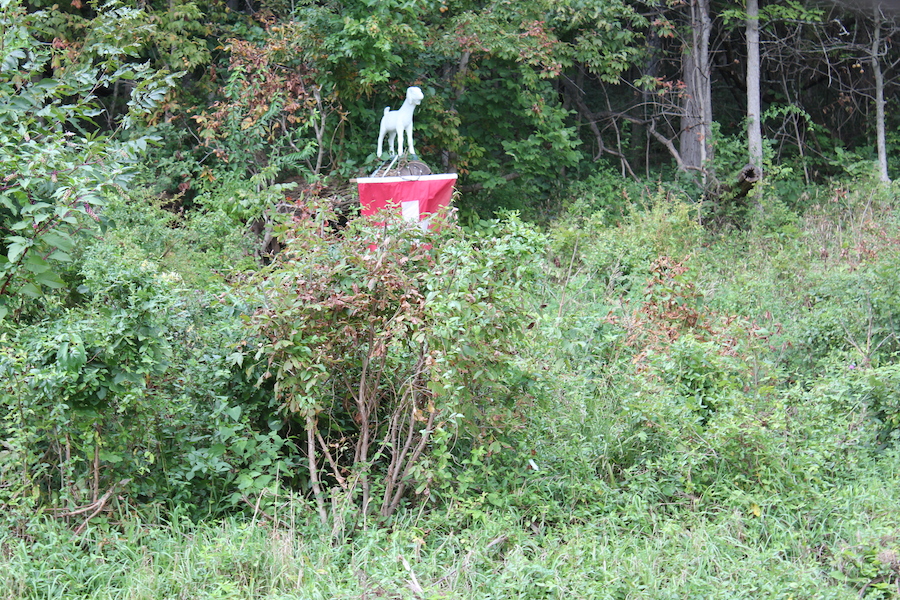 On the Trail of Fred the White Goat of Vevay, Indiana