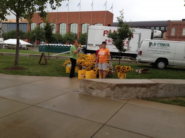 Setting up. There were sunflowers everywhere.