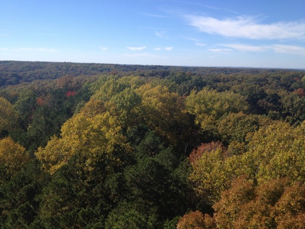 View from Hickory Ridge Fire Tower in Hoosier National Forest