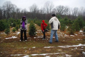 Tree Farm